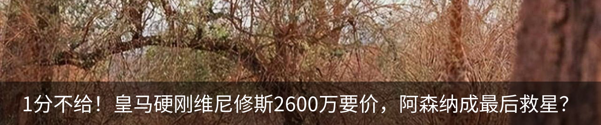 资讯动态